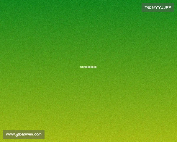 nba上海赛是什么意思